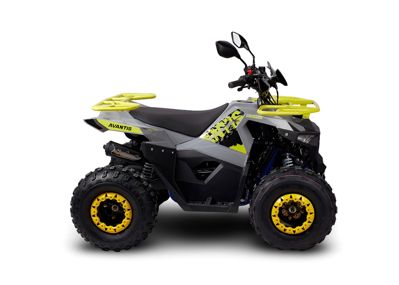купить Квадроцикл AVANTIS Ray 8 Lux в Москве - фото 