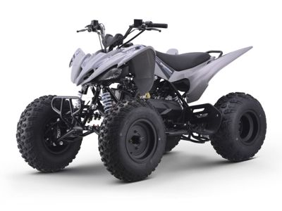 Квадроцикл SHARMAX Raizer Race Cup 250 в Москве