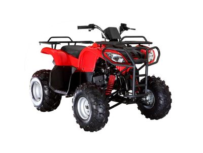 купить Квадроцикл ARMADA ATV 150L в Москве - фото 