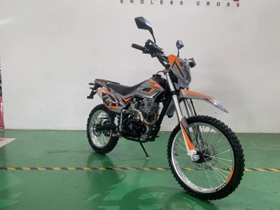 купить Мотоцикл JHL SX175 LX162FMJ PITBIKE в Москве - фото 