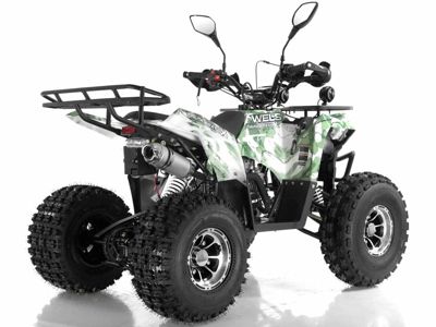 купить Квадроцикл WELS Thunder 125 Lux в Москве - фото 