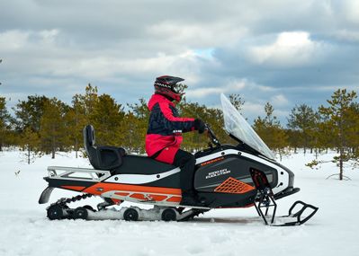 купить Снегоход SHARMAX SHP-1000 EFI в Москве - фото 