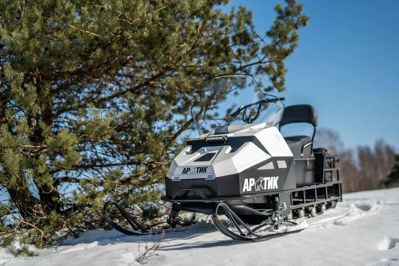 купить Снегоход БТС Arctic 4Т Лонг 20 л.с. в Москве - фото 