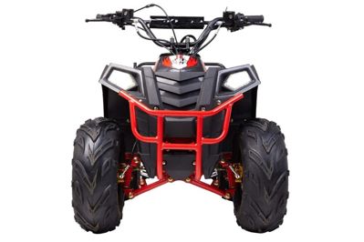 купить Квадроцикл RAPTOR Dux Lux 8 в Москве - фото 
