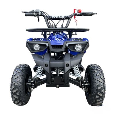 купить Квадроцикл WELS Thunder mini 2T в Москве - фото 