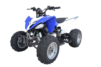 Квадроцикл ATV Pantera 150 CVT в Москве