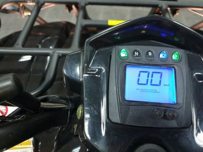 купить Квадроцикл RATO Hammer Premium 200 в Москве - фото 