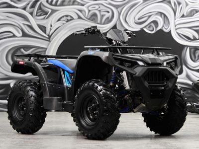 купить Квадроцикл SHARMAX Force 600 Ranger в Москве - фото 