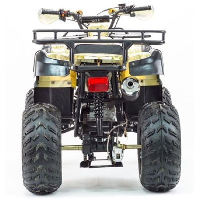 купить Квадроцикл STALKER 250 в Москве - фото 