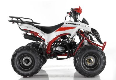купить Квадроцикл MOTAX ATV Raptor Super LUX 125 cc в Москве - фото 