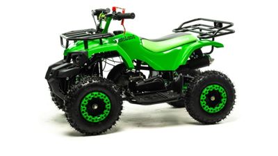 купить Квадроцикл MOTOLAND 50 Scorpion (2021 Г.) в Москве - фото 