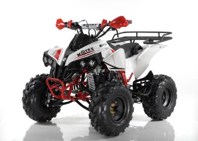 купить Квадроцикл MOTAX ATV Raptor Super LUX 125 cc в Москве - фото 