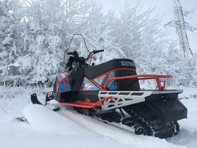 купить Снегоход SHARMAX SN-550 (2024) в Москве - фото 