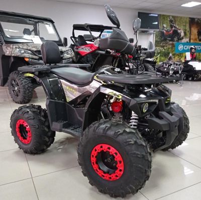 купить Квадроцикл ZONGSHEN Junior Sport 125 Premium в Москве - фото 