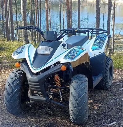 купить Квадроцикл BALTMOTORS Jam 100 (2022) Б/У в Москве - фото 