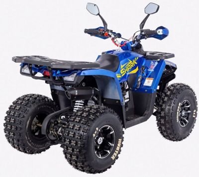 купить Квадроцикл AVANTIS HS8 Shark Premium в Москве - фото 