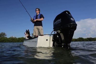 купить 4х-тактный лодочный мотор TOHATSU MFS 30 EPTL в Москве - фото 