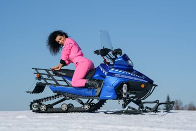 купить Снегоход SHARMAX Landcrafter Max SN-240 в Москве - фото 