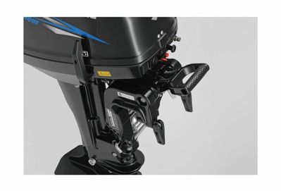 купить 2х-тактный лодочный мотор SUZUKI DT9.9AS в Москве - фото 