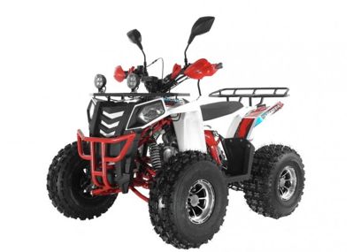 купить Квадроцикл WELS Thunder EVO LUX X 125 в Москве - фото 