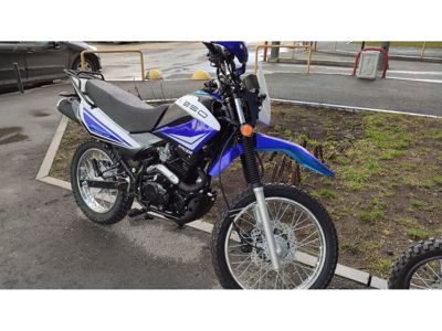 купить Мотоцикл кроссовый эндуро RACER Panther Lite RC250GY-C2A в Москве - фото 