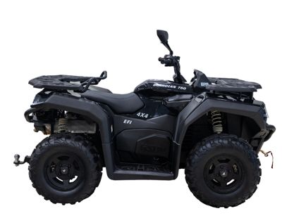 купить Квадроцикл HISUN Guardian 750S Short (ПСМ) в Москве - фото 