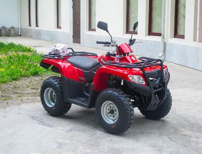 купить Квадроцикл ARMADA ATV 200L в Москве - фото 