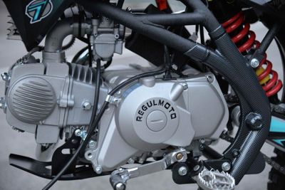 купить Мотоцикл REGULMOTO Seven Medalist Pro 17/14 PITBIKE в Москве - фото 