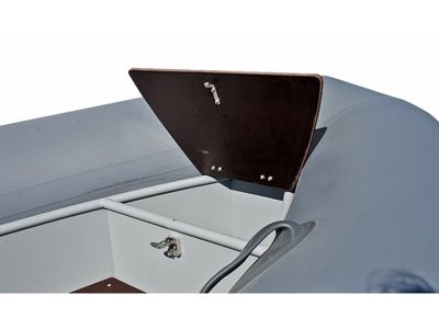 купить Лодка РИБ РАПТОР 410 А AL в Москве - фото 