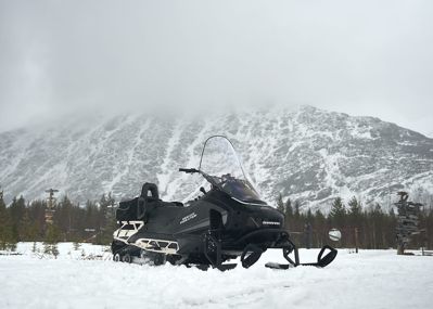 купить Снегоход SHARMAX SHP-1000 EFI в Москве - фото 