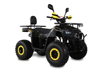 купить Квадроцикл MOTAX ATV Grizlik Super Lux 125cc в Москве - фото 