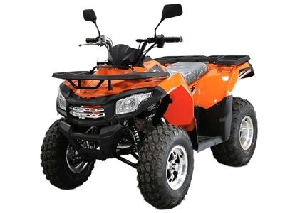 Квадроцикл MOTOLAND ATV 200 Max в Москве