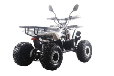 купить Квадроцикл MOTAX ATV Grizlik Premium 125cc в Москве - фото 