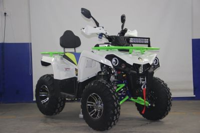 купить Квадроцикл AVANTIS Forester 200 в Москве - фото 