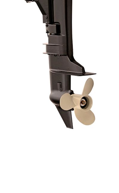 купить 2х-тактный лодочный мотор WATERMAN T8 BMS в Москве - фото 