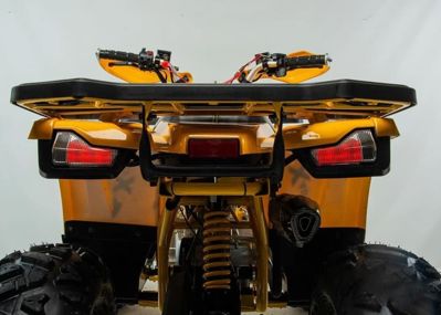 купить Квадроцикл MOTOLAND 125 Wild (2021 Г.) в Москве - фото 