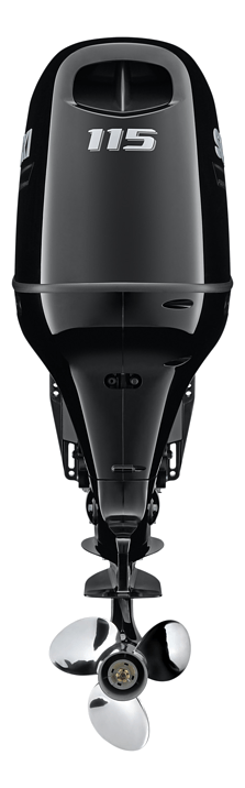 купить 4х-тактный лодочный мотор SUZUKI DF115BTGX в Москве - фото 