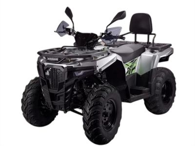 купить Квадроцикл AVANTIS ATV 300 Lux в Москве - фото 