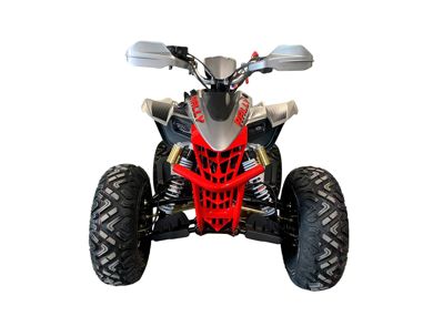 купить Квадроцикл MOTOLAND RALLY 250 в Москве - фото 