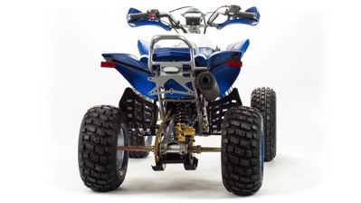 купить Квадроцикл MOTOLAND 250 Dakar в Москве - фото 