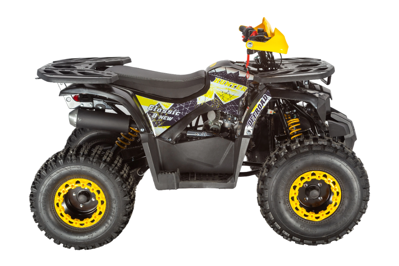 купить Квадроцикл AVANTIS Classic 8 New в Москве - фото 