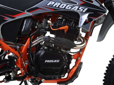 купить Мотоцикл ПРОГАСИ Palma 250 SE (165FMM) 21/18 ENDURO в Москве - фото 