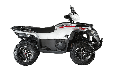 купить Квадроцикл ACCESS AMX 8.57 EPS LV LTD (ПСМ) в Москве - фото 