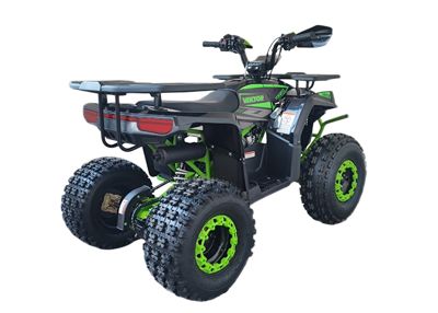 купить Квадроцикл YACOTA Vektor 125 в Москве - фото 