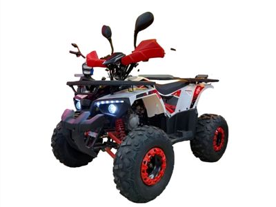 купить Квадроцикл MOTORHEAD Hammer 125 в Москве - фото 