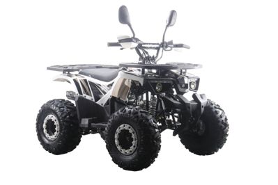 купить Квадроцикл MOTAX ATV Grizlik Premium 125cc в Москве - фото 