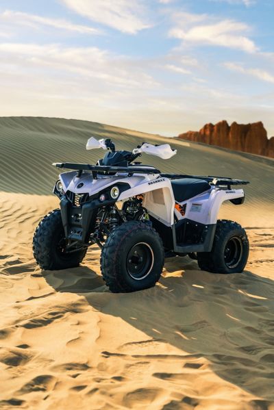 купить Квадроцикл SHARMAX Hummer 300 в Москве - фото 