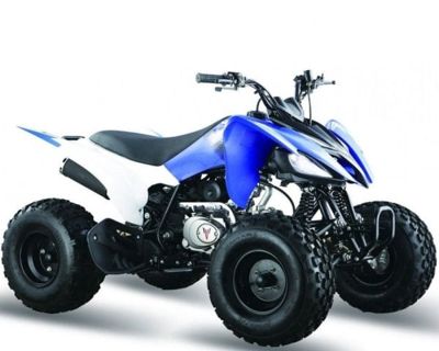 Квадроцикл МОТОМИР Pantera 125 в Москве