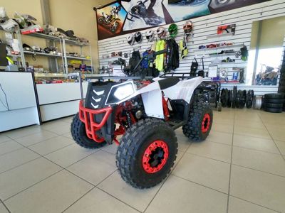 купить Квадроцикл ATV Commander 2 Cross в Москве - фото 