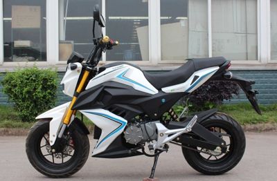 купить Электромотоцикл NIHAO MOTOR Champ Star в Москве - фото 